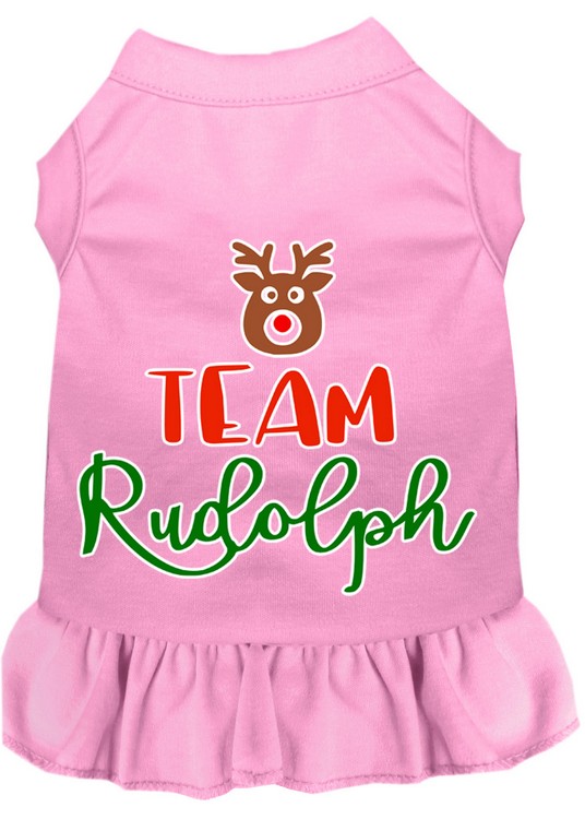 Team Rudolph Screen Print Dog Dress Light Pink XS